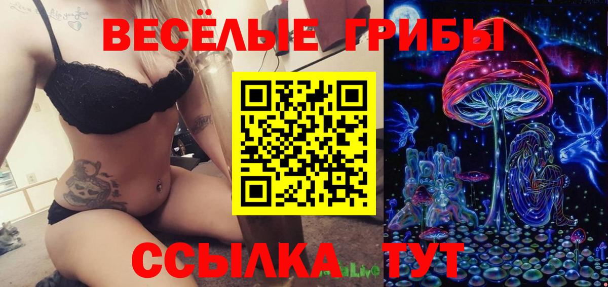 Псилоцибиновые грибы мухоморы  даркнет сайт  Нарткала  Вход с VPN  Псилоцибиновые грибы Psilocybe 