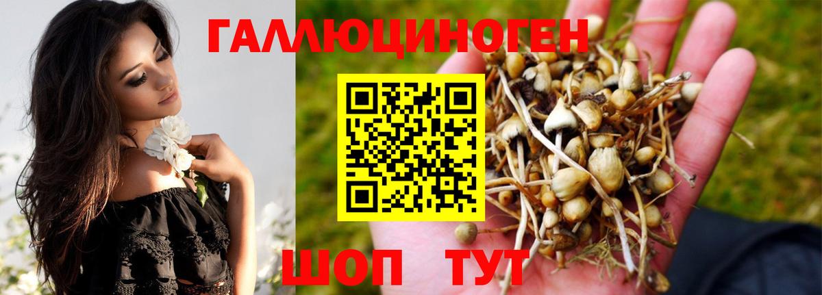Псилоцибиновые грибы MAGIC MUSHROOMS Нарткала